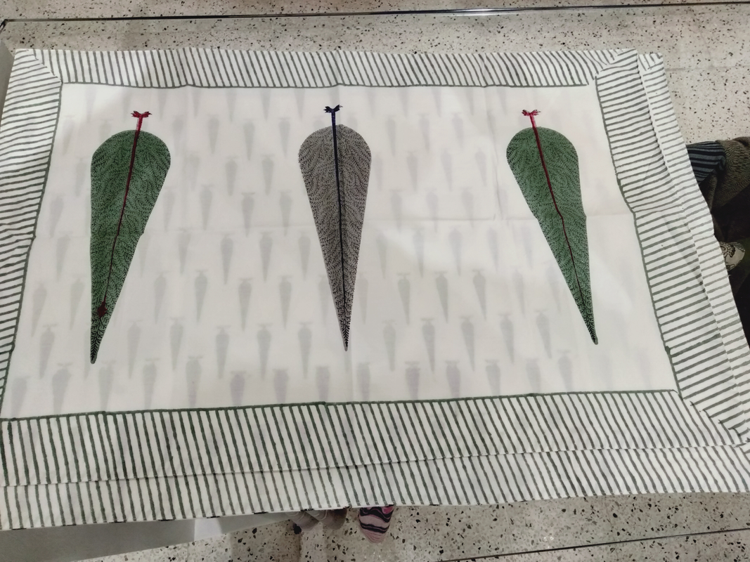 e067d097-e96f-4d49-adb1-36f90d07ef20_80228744-9e0f-48de-a494-bea6971d8f0f-4x